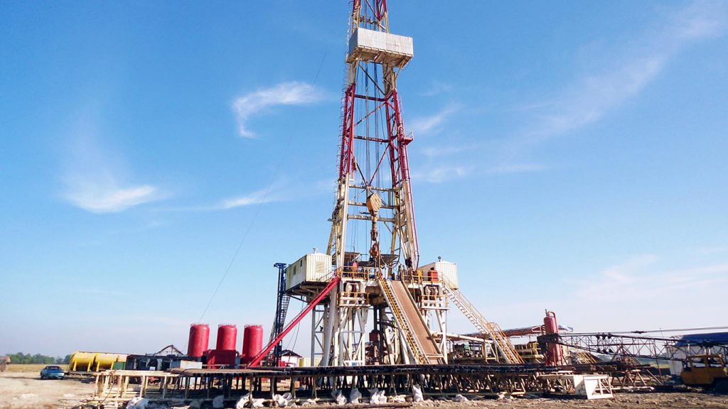 تست خبر رشید دانه