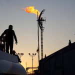 تست خبر برایرشید دانه