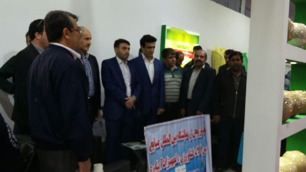 تست خبر رشید دانه