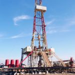 تست خبر رشید دانه